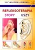 Refleksoterapia Stopy Uszy